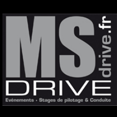 logo MS drive